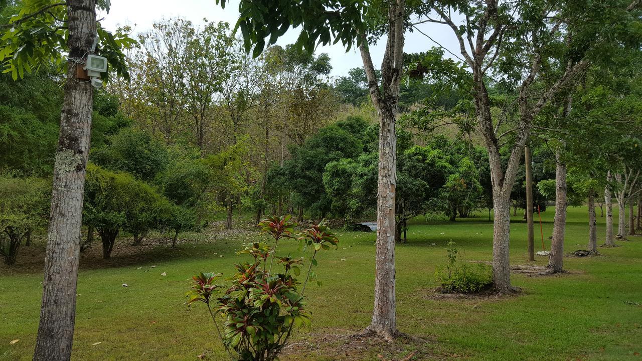 Mahogany Villas ปุนตากอร์ดา ภายนอก รูปภาพ